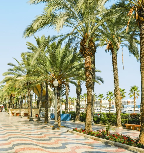 Alicante