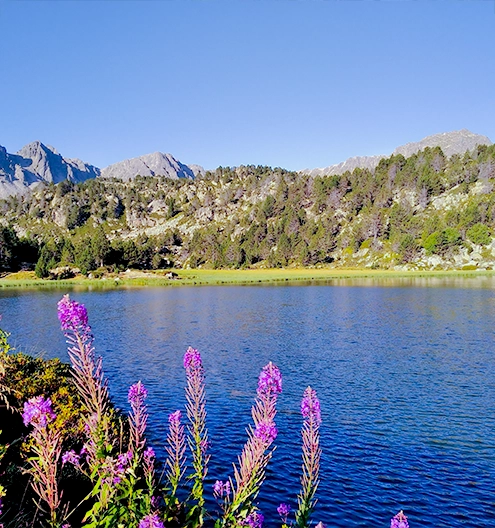 Andorra