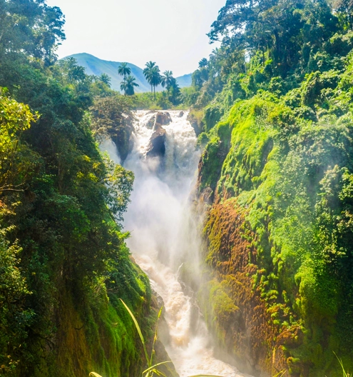 Camerun