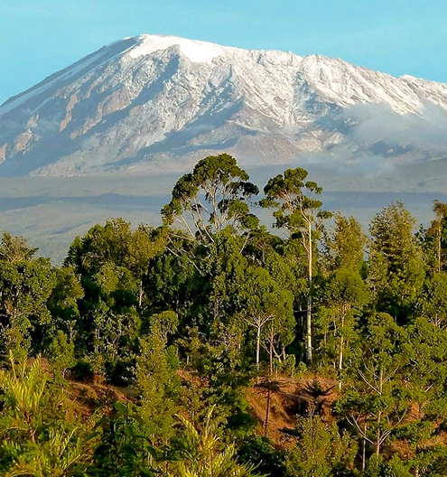 Tanzania