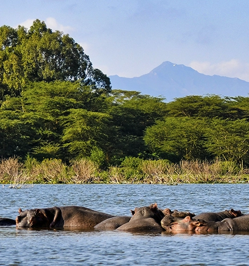 Kenia