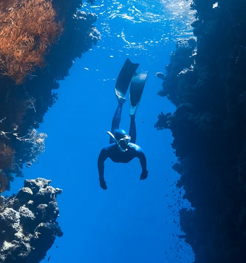 Buceo
