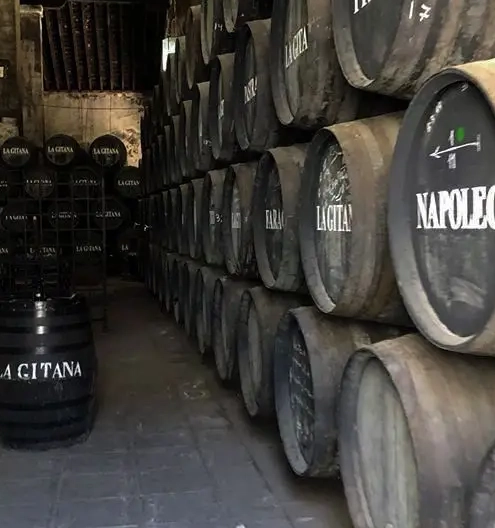 Ruta del Vino